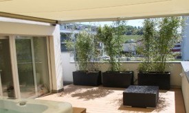 Tendabox BX 3000 Volant-Plus